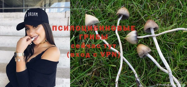 ешки Алексеевка
